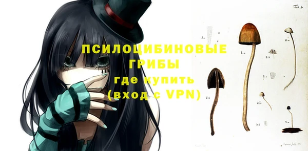 PSILOCYBIN Белокуриха