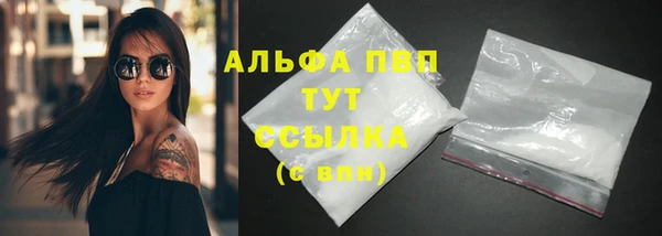 PSILOCYBIN Белокуриха