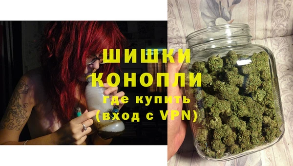 PSILOCYBIN Белокуриха