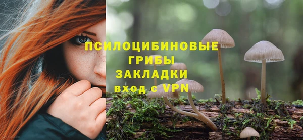 PSILOCYBIN Белокуриха