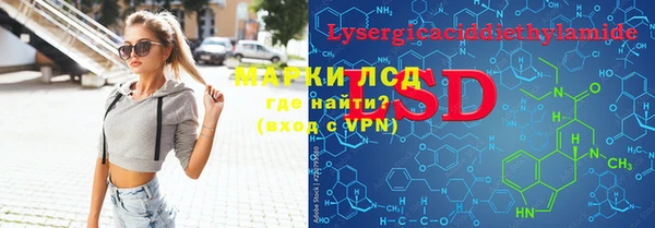 PSILOCYBIN Белокуриха